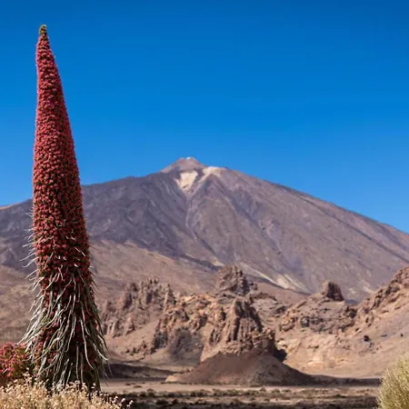 Appartement Kings Kapital *