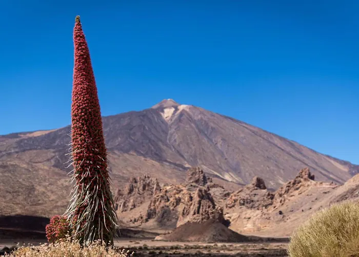 Daire Kings Kapital Tenerife By Kensho *